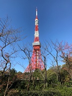増上寺回廊から