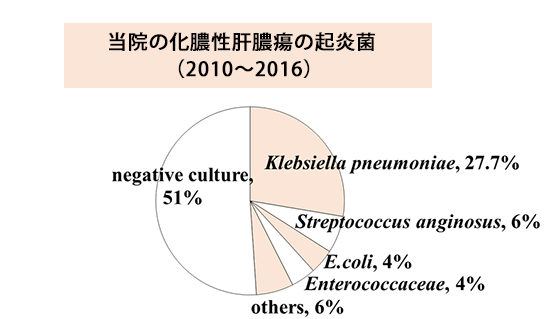 姫路赤十字病院の化膿性肝膿瘍の起炎菌（2010～2016）